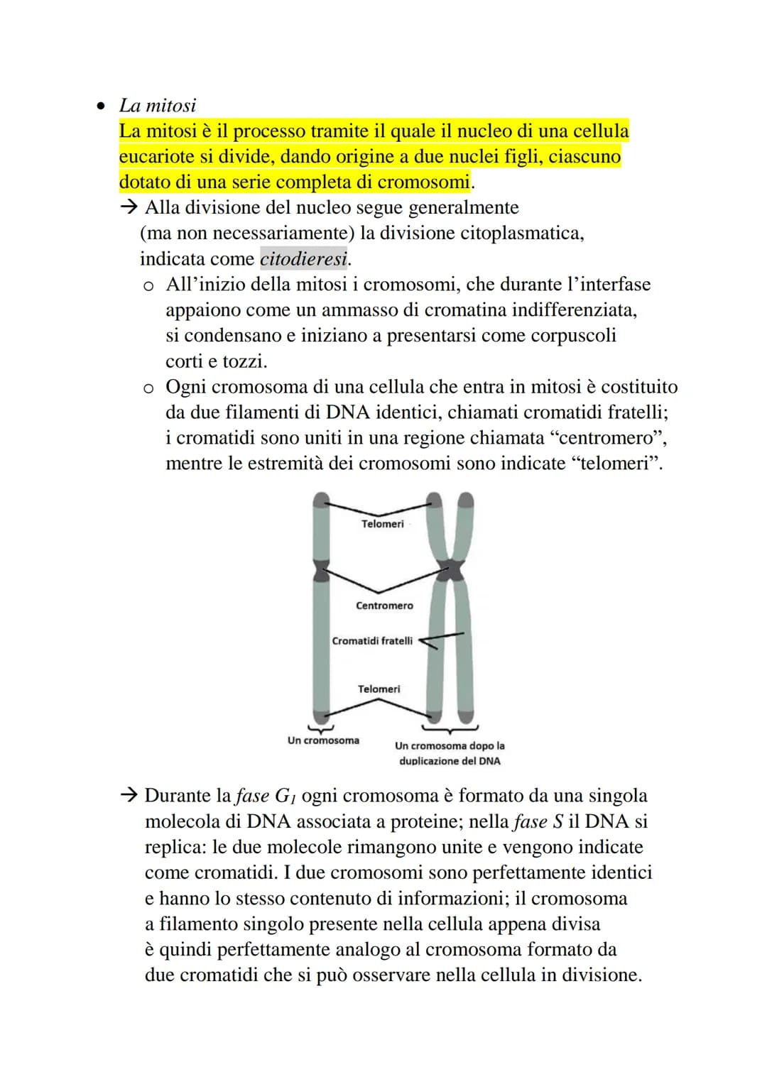 2-Divisione cellulare e cromosomi
La divisione cellulare è un processo che permette
a una cellula di dare origine a due cellule figlie.
• Pr