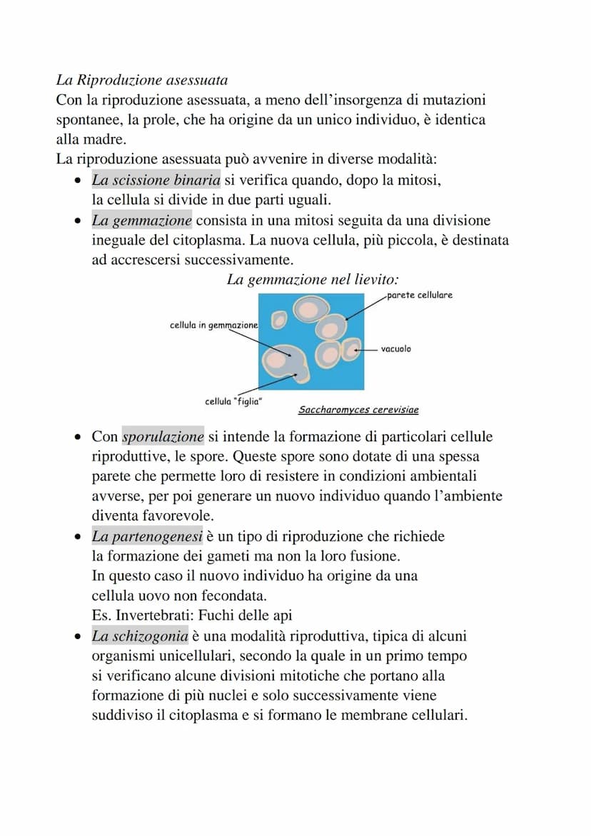 2-Divisione cellulare e cromosomi
La divisione cellulare è un processo che permette
a una cellula di dare origine a due cellule figlie.
• Pr