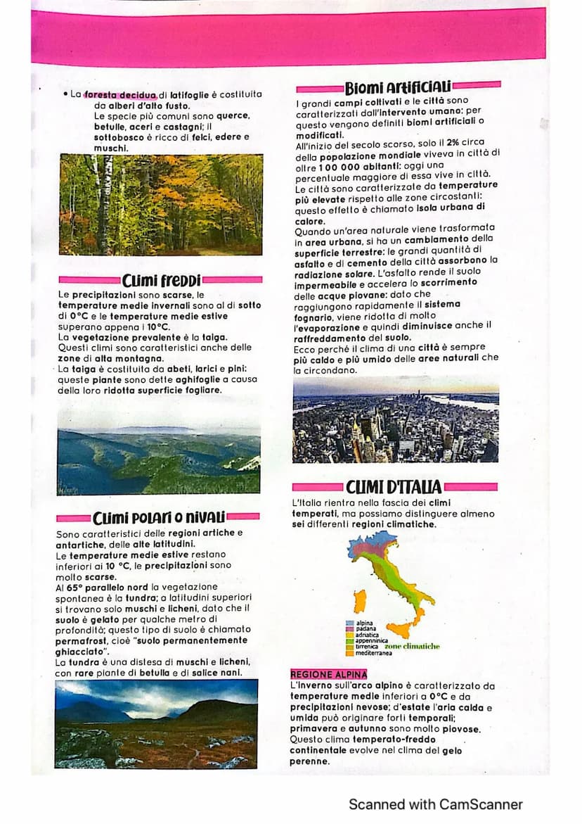 COS'È IL CLIMA?
Il tempo meteorologico è la situazione
meteorologica di un dato luogo in un
determinato momento; mentre il clima è lo
stato 