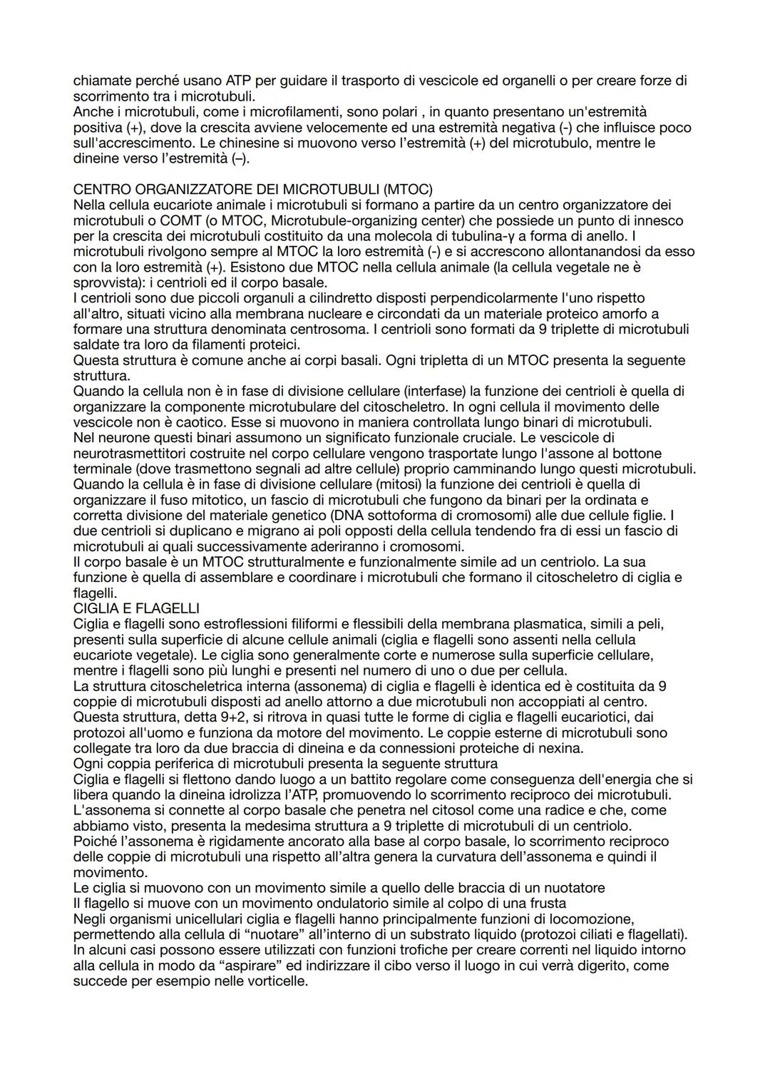 # CITOLOGIA

La citologia è la branca della biologia che studia la cellula. La cellula è l'unità elementare di ogni
vivente e costituisce la