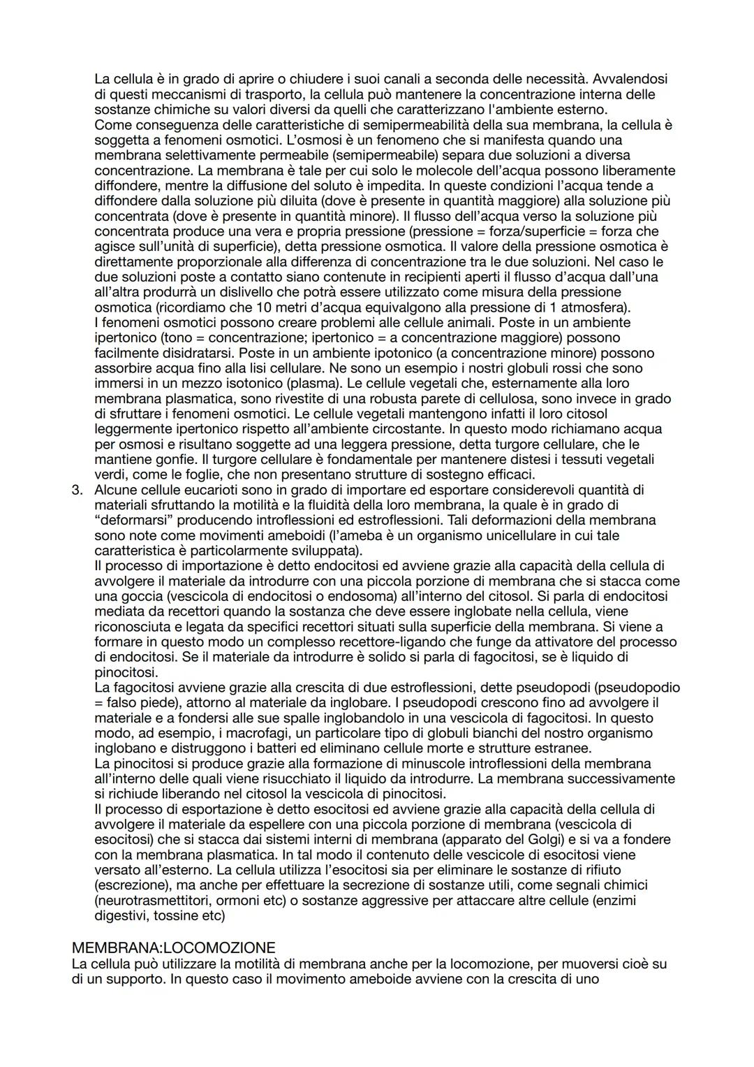 # CITOLOGIA

La citologia è la branca della biologia che studia la cellula. La cellula è l'unità elementare di ogni
vivente e costituisce la