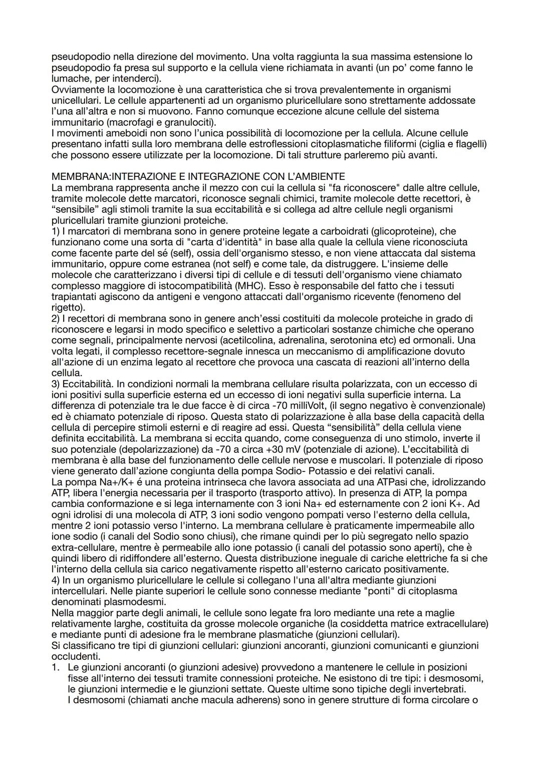 # CITOLOGIA

La citologia è la branca della biologia che studia la cellula. La cellula è l'unità elementare di ogni
vivente e costituisce la