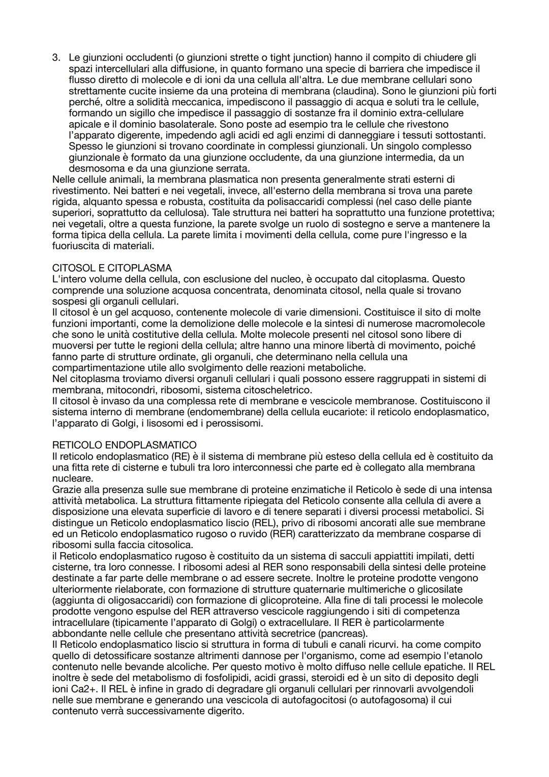 # CITOLOGIA

La citologia è la branca della biologia che studia la cellula. La cellula è l'unità elementare di ogni
vivente e costituisce la