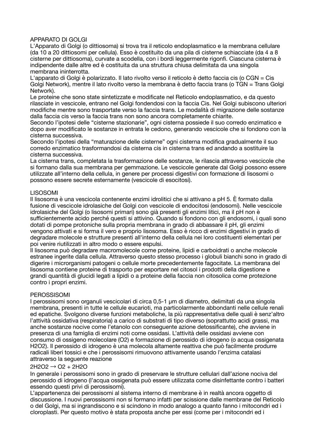 # CITOLOGIA

La citologia è la branca della biologia che studia la cellula. La cellula è l'unità elementare di ogni
vivente e costituisce la