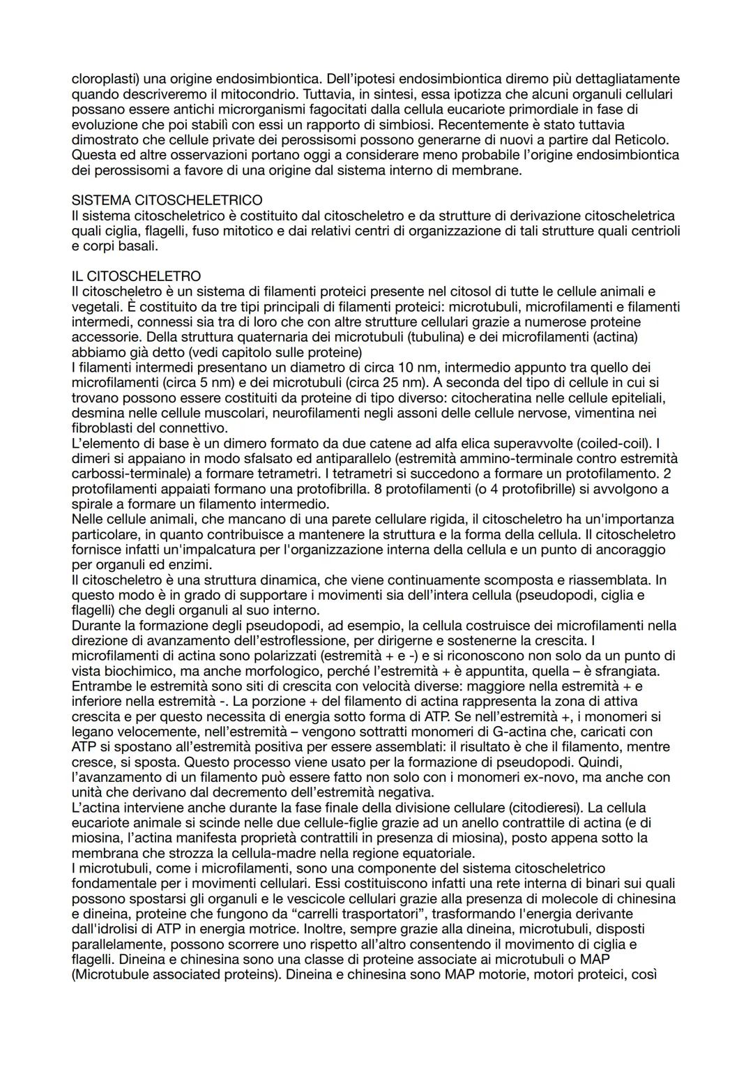 # CITOLOGIA

La citologia è la branca della biologia che studia la cellula. La cellula è l'unità elementare di ogni
vivente e costituisce la
