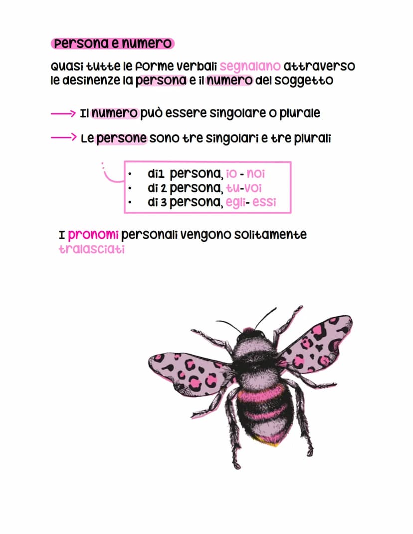 U verbo
cosa é
È la parte variabile del discorso che fornisce,
collocandole nel tempo, informazioni sul soggetto
della frase,
Ţ
che in parti