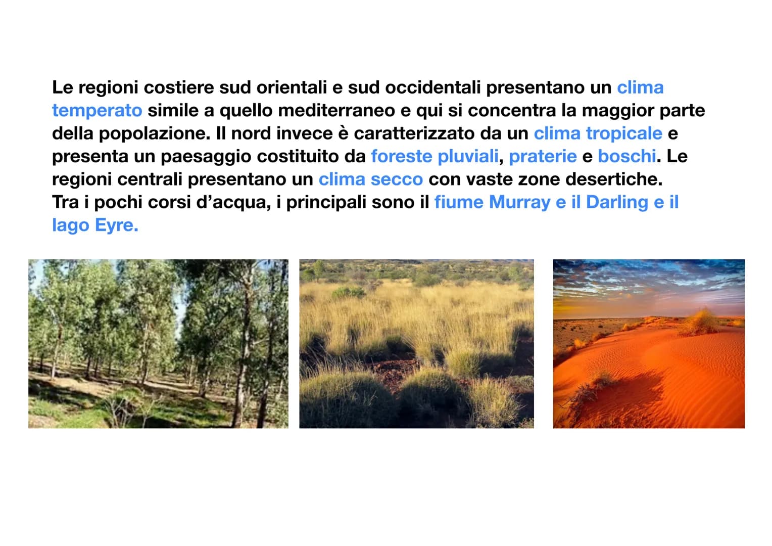 L'Oceania
L'Oceania è un continente insulare, infatti è composto solo da isole, situate
tra l'Oceano indiano e l'Oceano
pacifico. L'isola pi