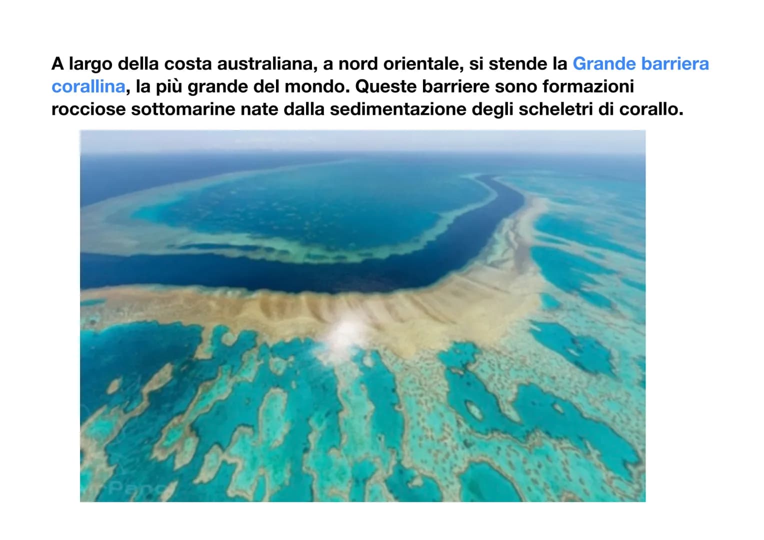 L'Oceania
L'Oceania è un continente insulare, infatti è composto solo da isole, situate
tra l'Oceano indiano e l'Oceano
pacifico. L'isola pi