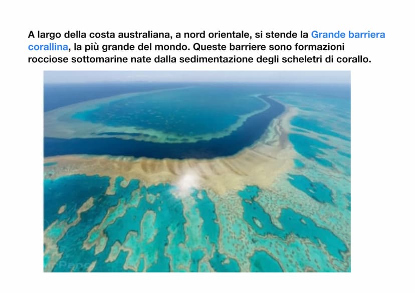 L'Oceania
L'Oceania è un continente insulare, infatti è composto solo da isole, situate
tra l'Oceano indiano e l'Oceano
pacifico. L'isola pi