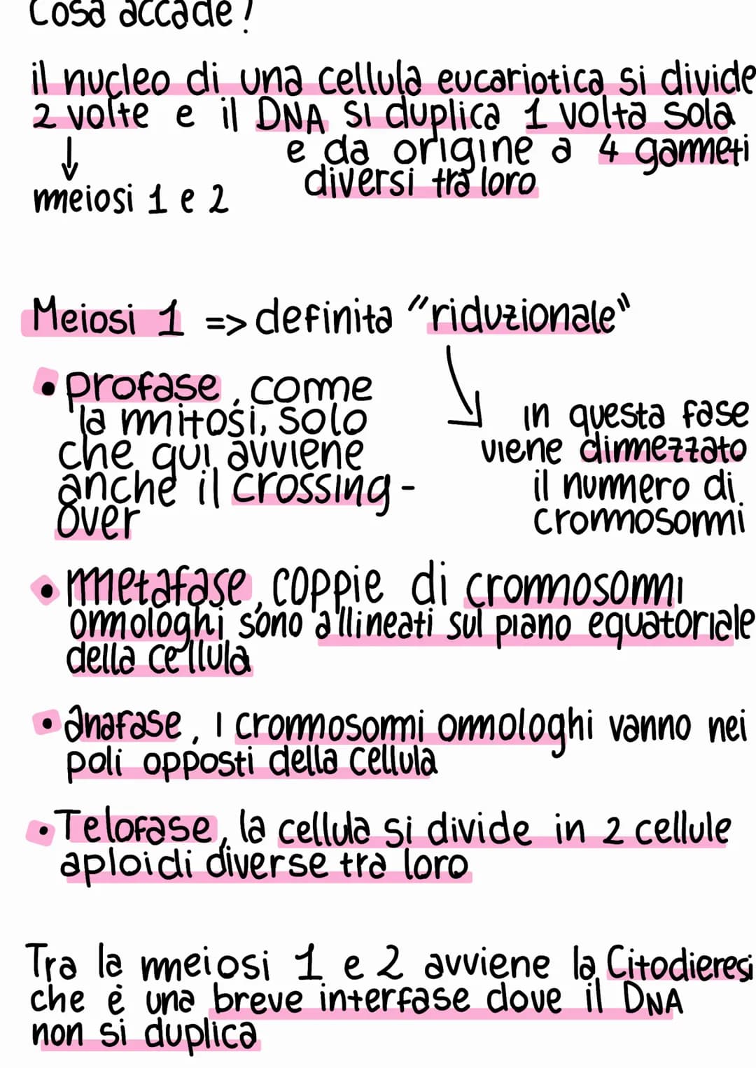 Ciclo e riproduzione cellulare
Ciclo cellulare => Ciclo vitale della cellula
G₁
sintesi di RNA
e proteine
mitosi
M
INTERFASE
S
sintesi del D