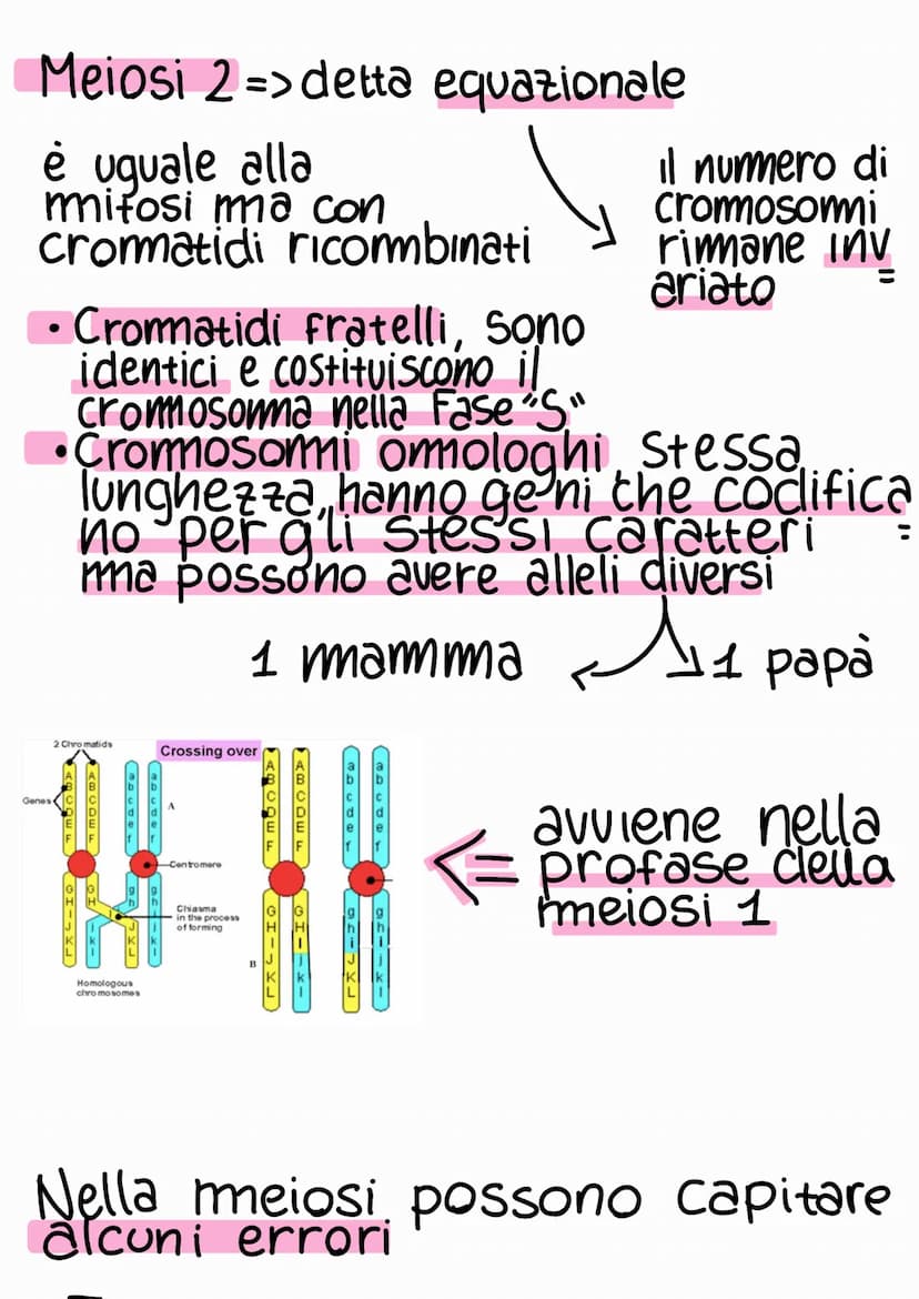 Ciclo e riproduzione cellulare
Ciclo cellulare => Ciclo vitale della cellula
G₁
sintesi di RNA
e proteine
mitosi
M
INTERFASE
S
sintesi del D
