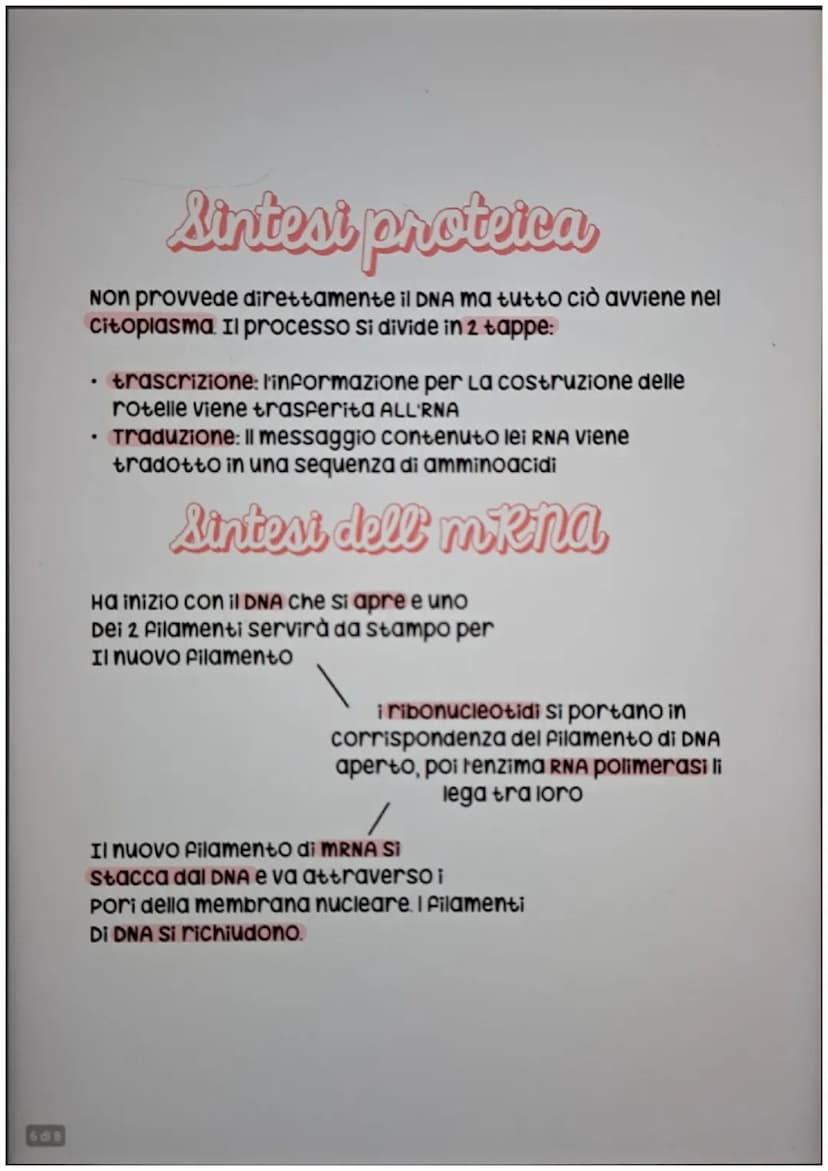 1 dl 8
el Dna
ogni organismo possiede all'interno del nucleo il DNA (acido
desossiribonucleico) che contiene il patrimonio ereditario
di un 