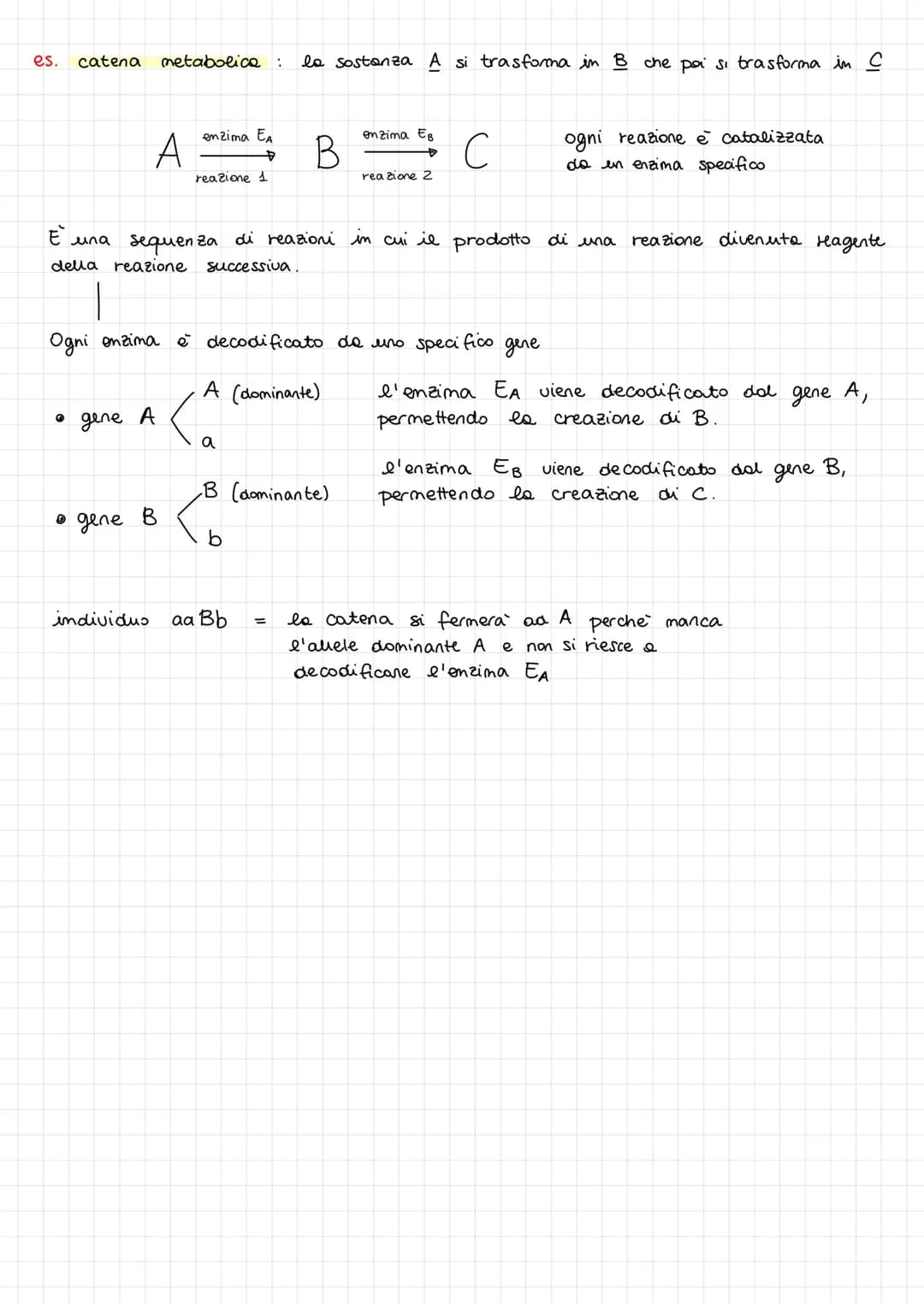 GENETICA
Fino alla metà del 1800 c'erano vari problemi per lo sviluppo della genetica
I come scienza :
1) mancanza di un metodo scientifico 