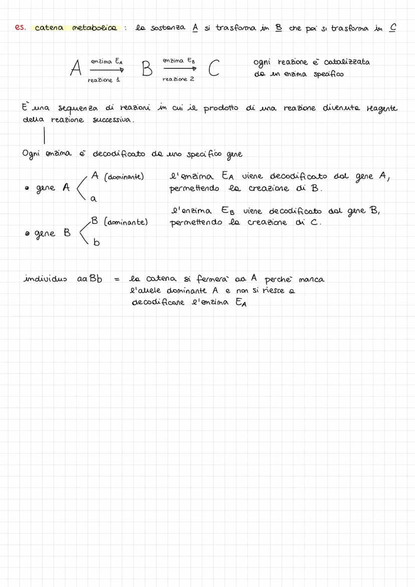 GENETICA
Fino alla metà del 1800 c'erano vari problemi per lo sviluppo della genetica
I come scienza :
1) mancanza di un metodo scientifico 