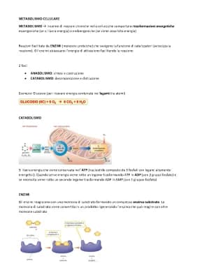 Know METABOLISMO CELLULARE thumbnail