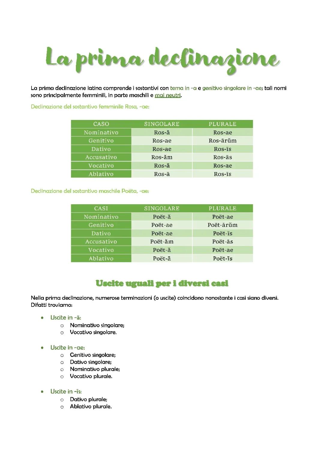 La Prima Declinazione della Lingua Latina: Guida Completa
