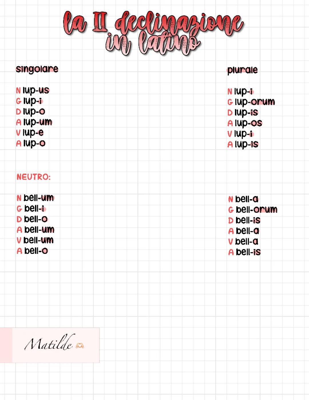 La seconda declinazione latina: guida al maschile e neutro