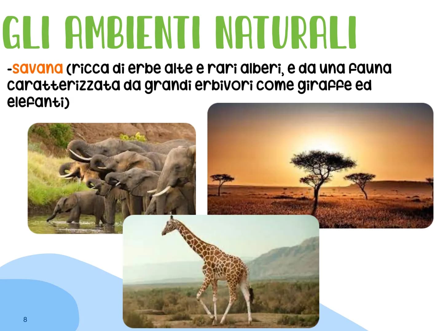 Scopriamo la Geografia Fisica dell'Africa: Montagne, Fiumi e Laghi