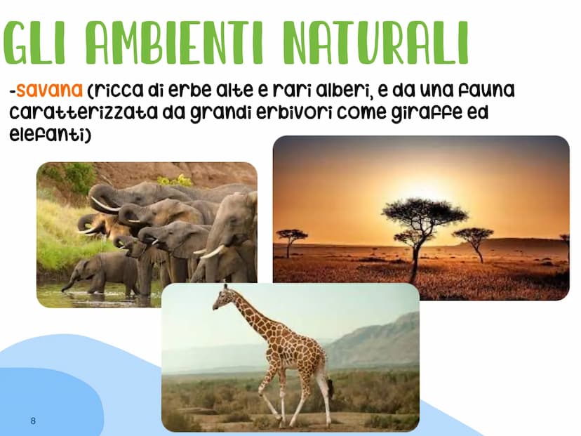 L'AFRICA
Giorgia e Desiree IL TERRITORIO
I CONFINI
1 Cancro
2
4165 ATLANTE
M. Toubkal
L'Africa è delimitata a:
-Nord dal mar mediterraneo
-o