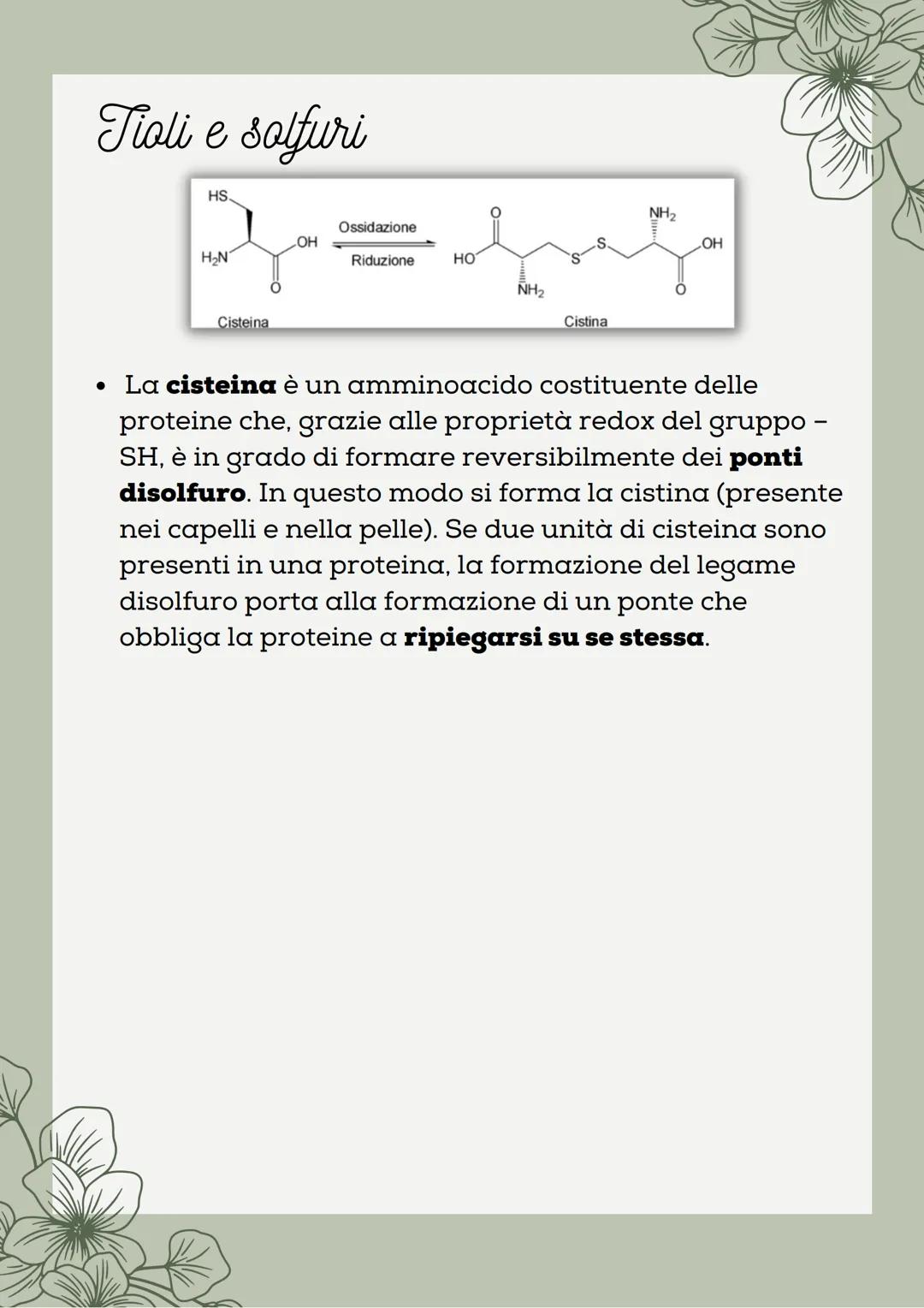 # Alcoli ed Eteri

Alcoli

*   Gli alcoli, composti contenenti il gruppo funzionale -
OH, sono composti molto diffusi in natura e con
moltep