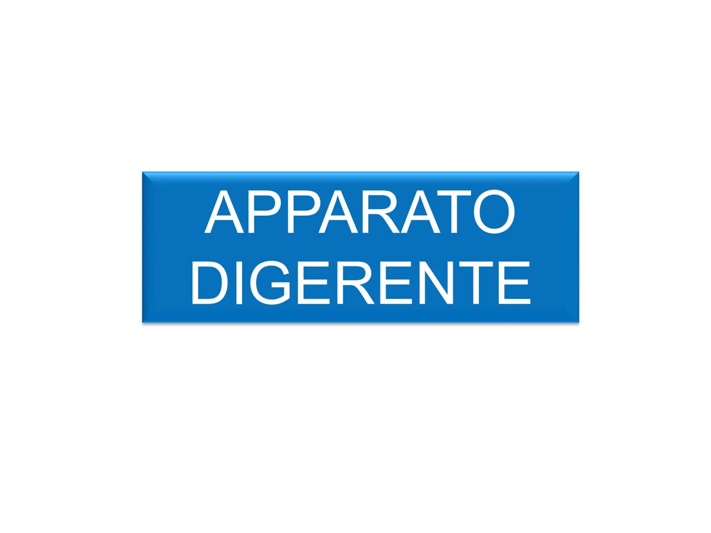 APPARATO
DIGERENTE L'APPARATO DIGERENTE provvede ad assumere tutte le sostanze
nutritive di cui l'organismo ha bisogno. Da esso verranno tra