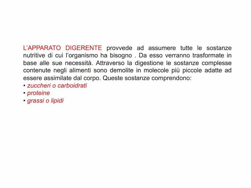 APPARATO
DIGERENTE L'APPARATO DIGERENTE provvede ad assumere tutte le sostanze
nutritive di cui l'organismo ha bisogno. Da esso verranno tra