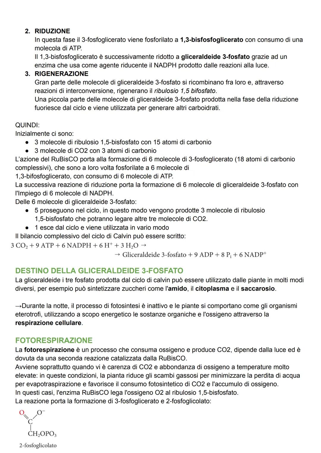 # FOTOSINTESI CLOROFILLIANA

La fotosintesi clorofilliana avviene negli organismi autotrofi fotosintetici come:
batteri, alghe o piante.

De