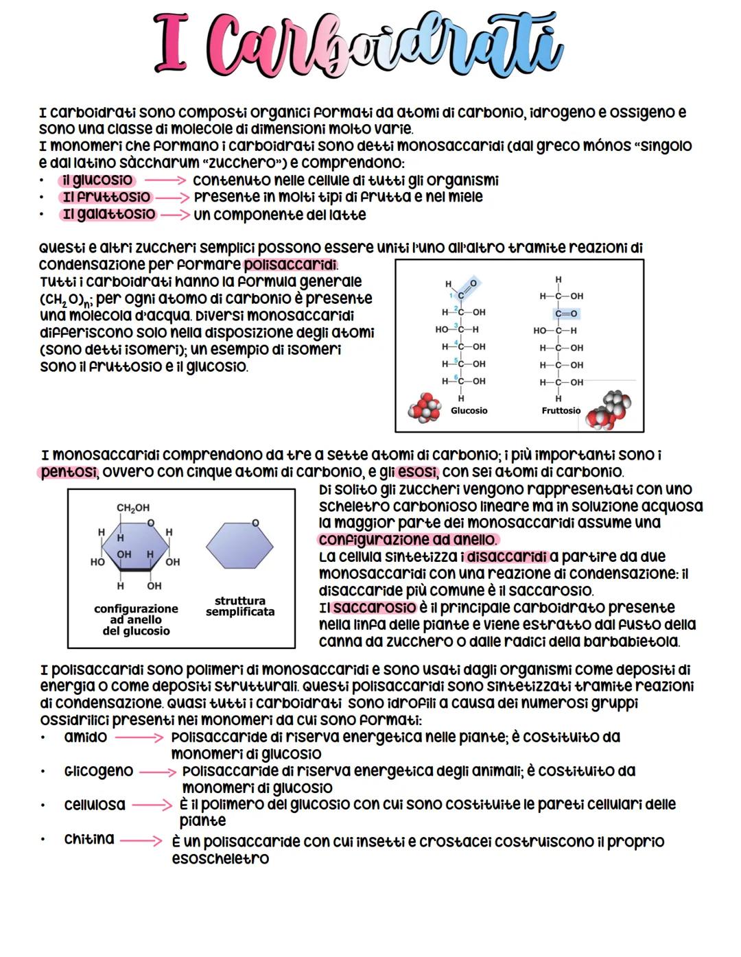 I Carboidrati
I carboidrati sono composti organici formati da atomi di carbonio, idrogeno e ossigeno e
sono una classe di molecole di dimens