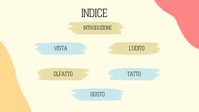 Ⓡ
GLI ORGANI
DI
SENSO
元 VISTA
OLFATTO
INDICE
INTRODUZIONE
GUSTO
L'UDITO
TATTO RECETTORI E ORGANI DI SENSO
Il nostro corpo è dotato di cellul
