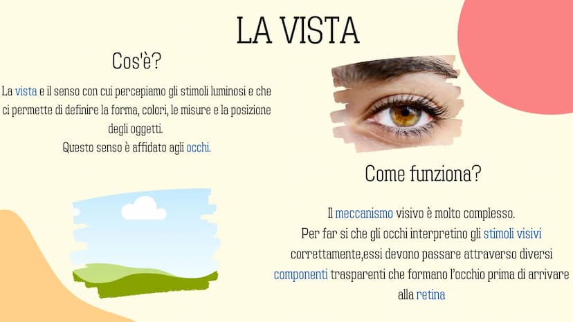 Ⓡ
GLI ORGANI
DI
SENSO
元 VISTA
OLFATTO
INDICE
INTRODUZIONE
GUSTO
L'UDITO
TATTO RECETTORI E ORGANI DI SENSO
Il nostro corpo è dotato di cellul