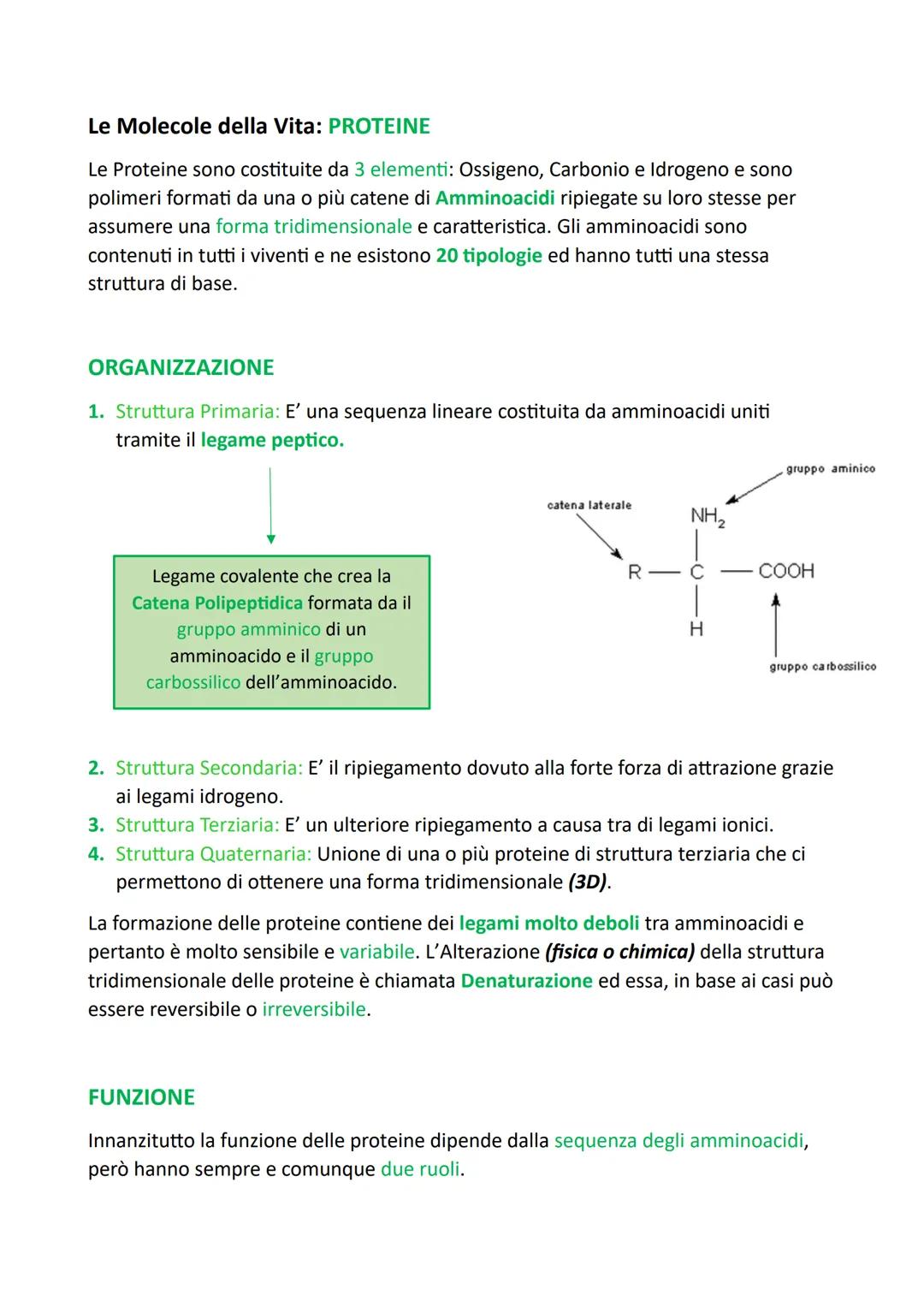 Le Molecole della Vita: L'ACQUA
L'Acqua è la sostanza presente in maggiore quantità sul pianeta Terra e nel corpo
degli esseri viventi, anim
