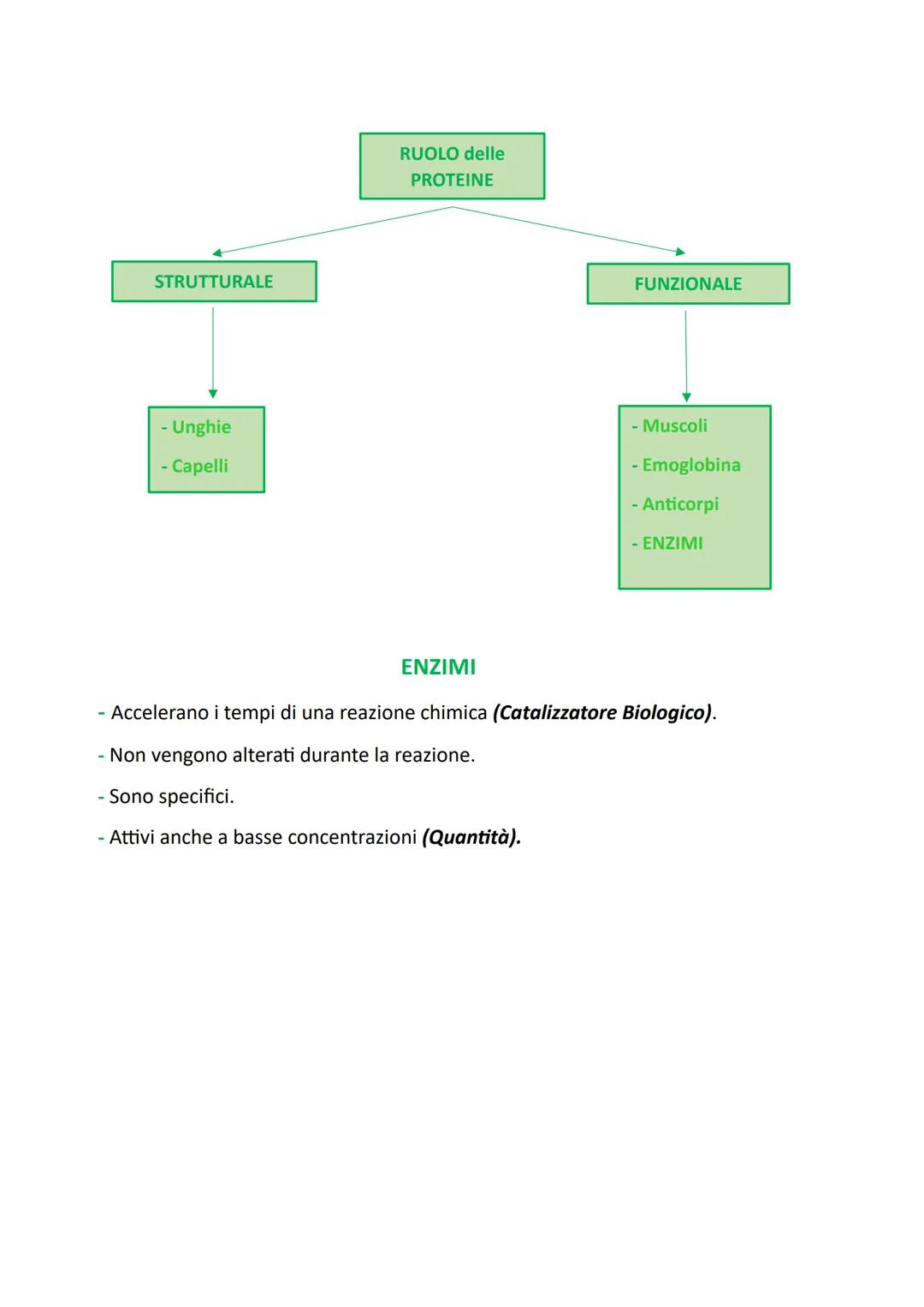 Le Molecole della Vita: L'ACQUA
L'Acqua è la sostanza presente in maggiore quantità sul pianeta Terra e nel corpo
degli esseri viventi, anim