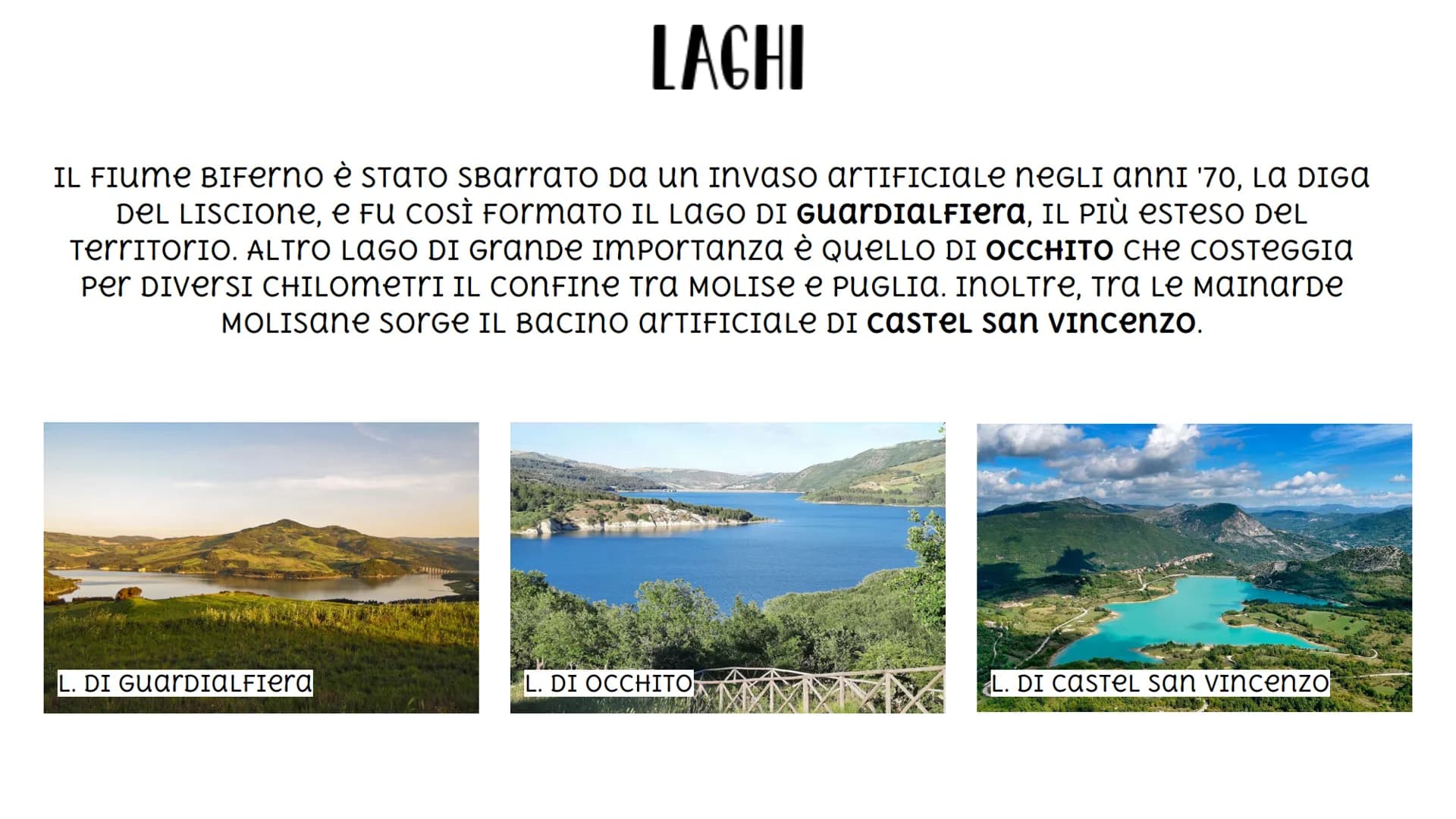 MOLISE D
La Meta
A
2241 Mainarde
zio
891
Venafro
Sangro
Bocca
di Forli
M. Capraro
1730
Scapoli
Capracotta
Isernia
POSIZIONE GEOGRAFICA E CON