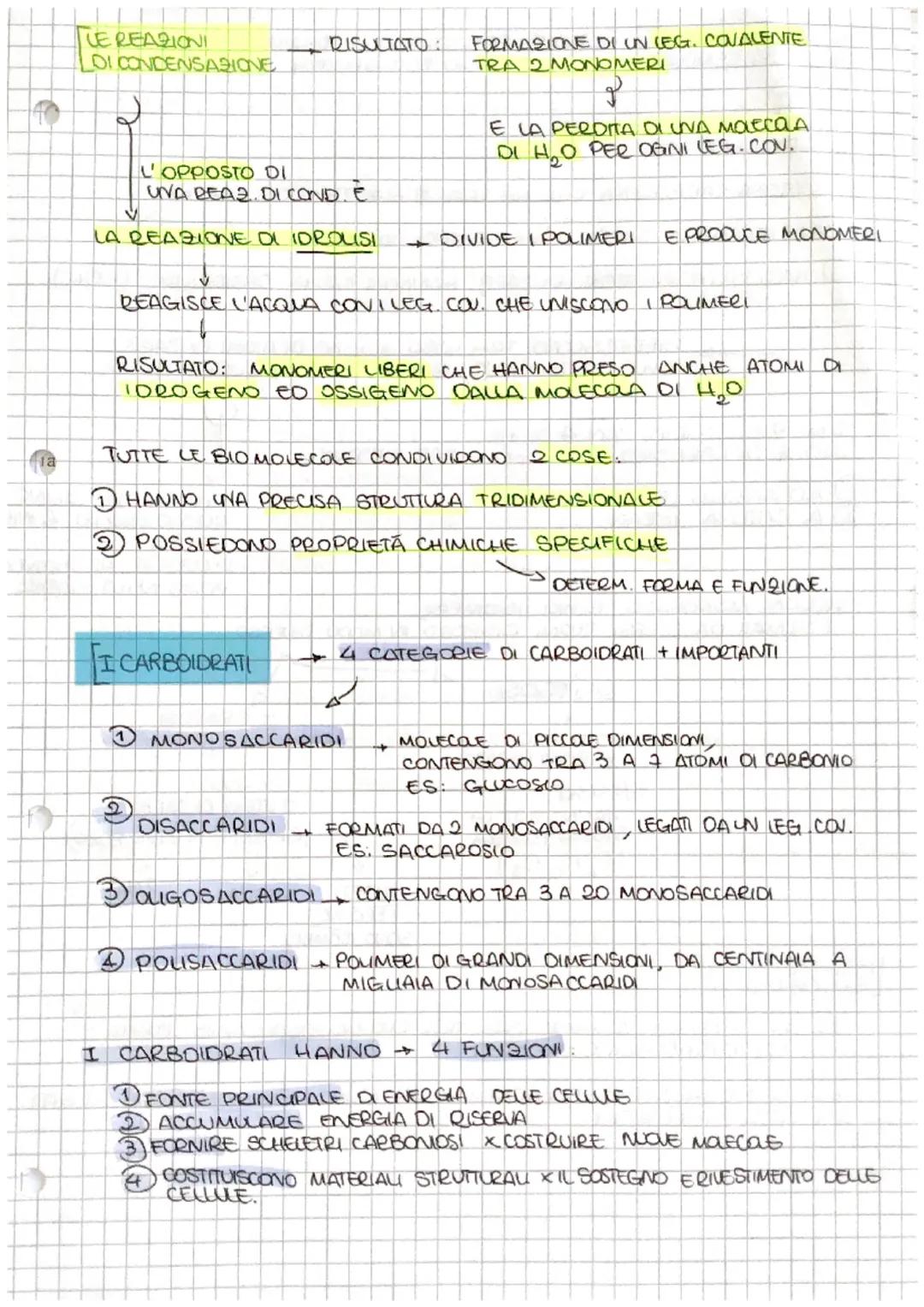 [Le BIOMOLECOLE
NEGLI UMANI a
SONO 4 TIPI DI > 3 LIPIDI
MOLECOLE
ESISTONO TANTL
COMPOST ORGANICI
a
PERCHE
GLI ATOMI DI CARBONIO
FORMANO TRA 