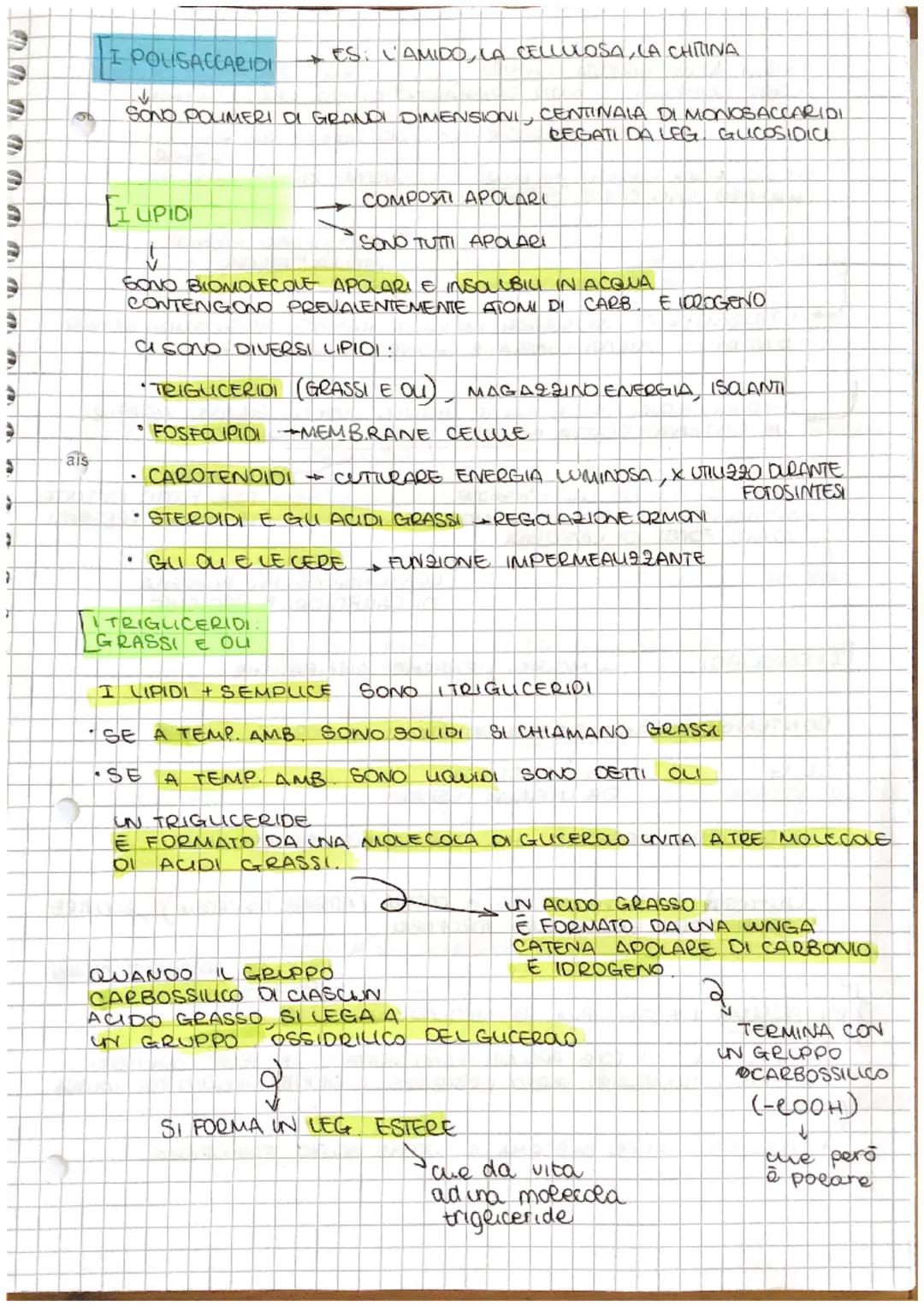 [Le BIOMOLECOLE
NEGLI UMANI a
SONO 4 TIPI DI > 3 LIPIDI
MOLECOLE
ESISTONO TANTL
COMPOST ORGANICI
a
PERCHE
GLI ATOMI DI CARBONIO
FORMANO TRA 