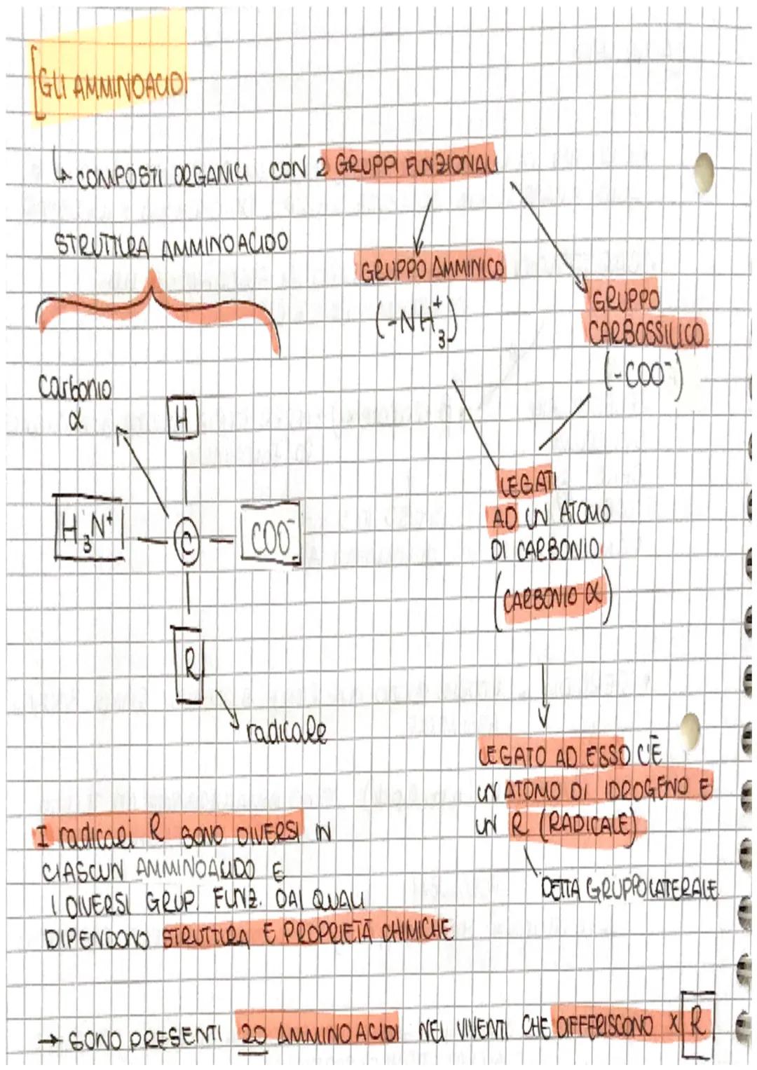 [Le BIOMOLECOLE
NEGLI UMANI a
SONO 4 TIPI DI > 3 LIPIDI
MOLECOLE
ESISTONO TANTL
COMPOST ORGANICI
a
PERCHE
GLI ATOMI DI CARBONIO
FORMANO TRA 