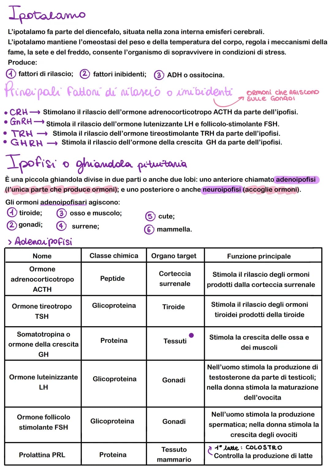 FEEDBACK
I sistemi di regolazione e controllo del corpo agiscono attraverso sistemi e feedback che regolano
-FEEDBACK NEGATIVO: il risultato