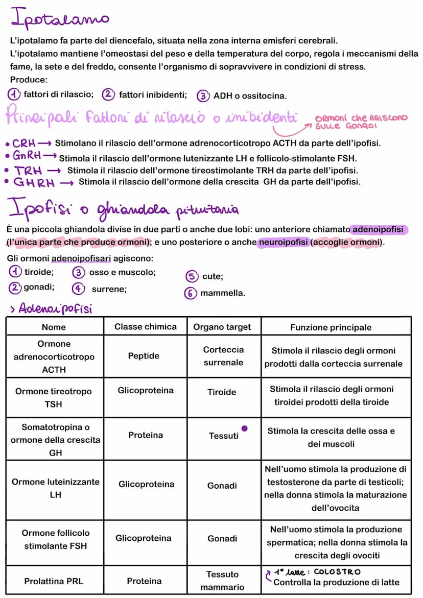 FEEDBACK
I sistemi di regolazione e controllo del corpo agiscono attraverso sistemi e feedback che regolano
-FEEDBACK NEGATIVO: il risultato