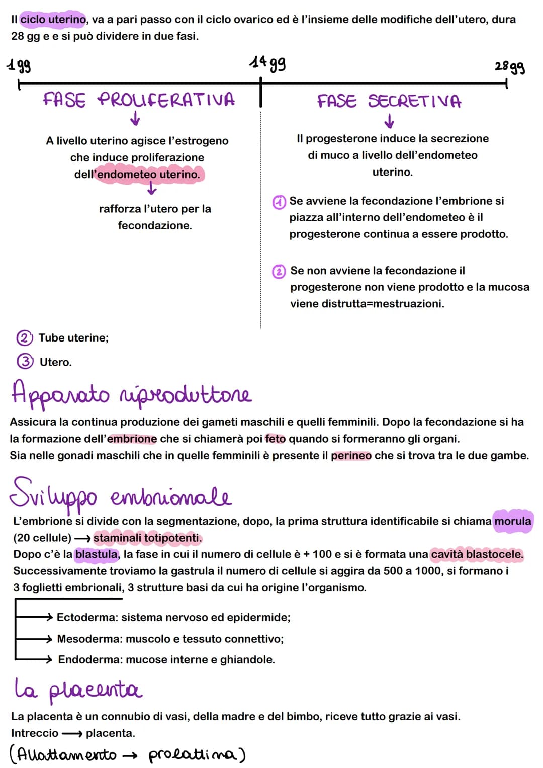 FEEDBACK
I sistemi di regolazione e controllo del corpo agiscono attraverso sistemi e feedback che regolano
-FEEDBACK NEGATIVO: il risultato