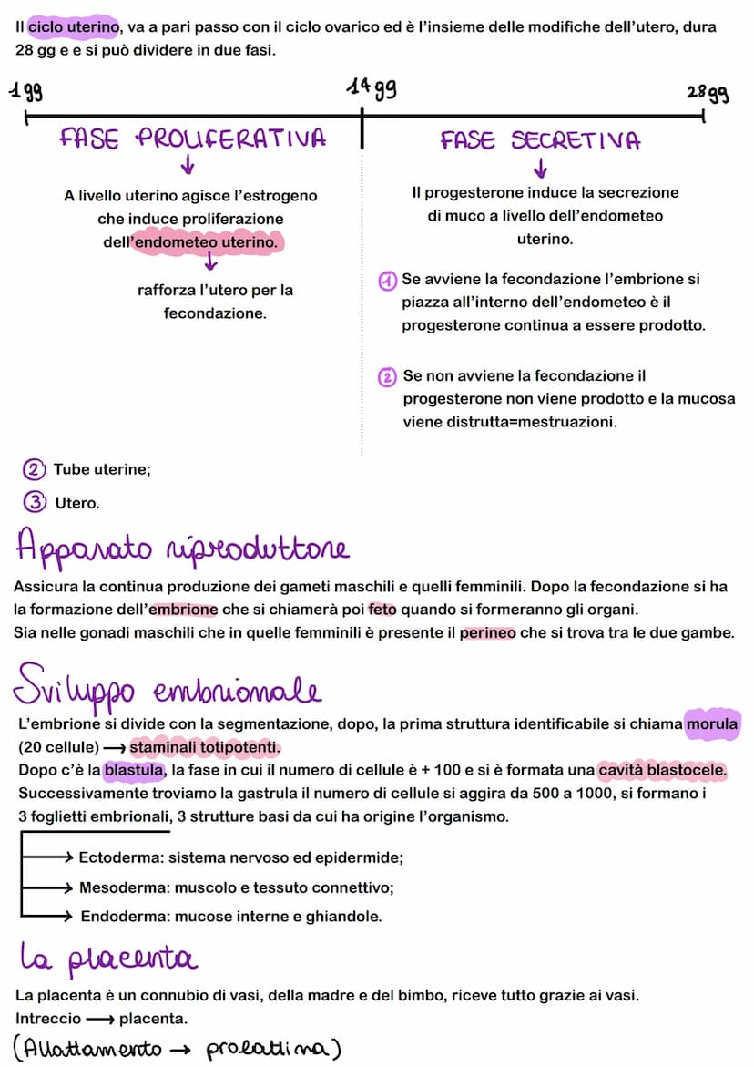 FEEDBACK
I sistemi di regolazione e controllo del corpo agiscono attraverso sistemi e feedback che regolano
-FEEDBACK NEGATIVO: il risultato