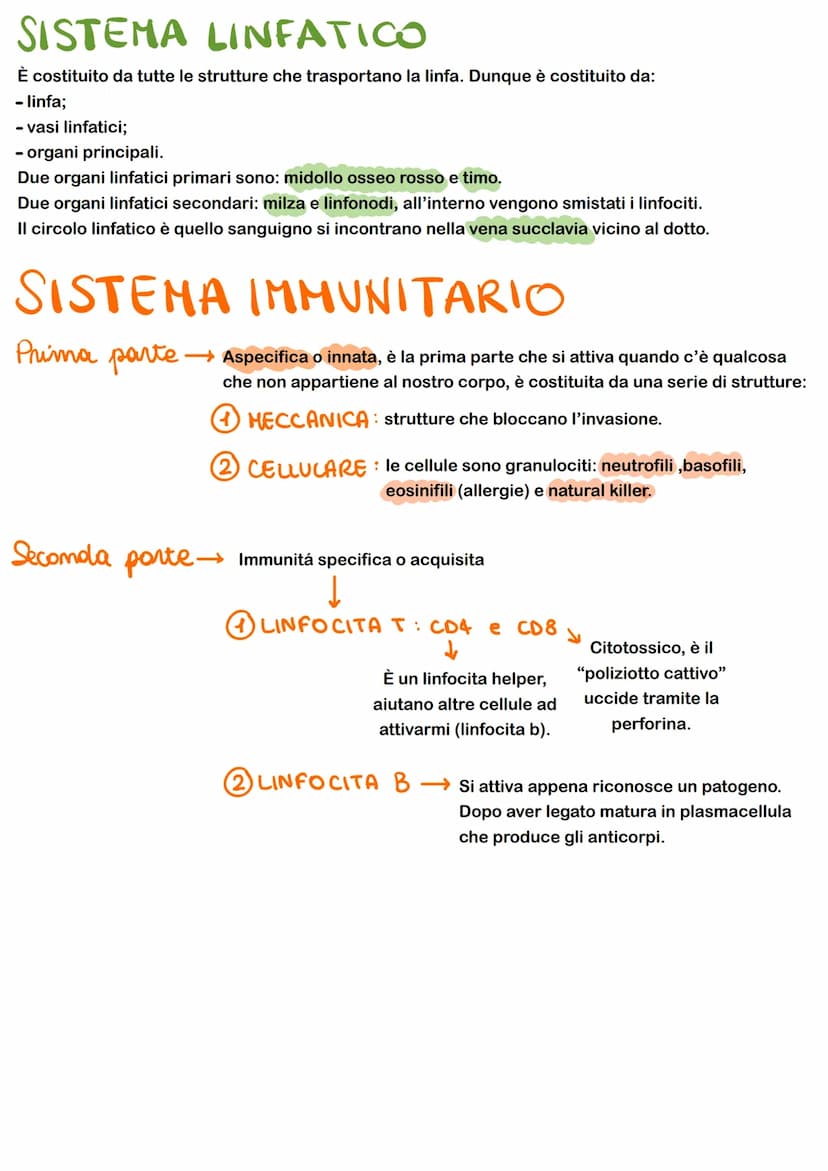 FEEDBACK
I sistemi di regolazione e controllo del corpo agiscono attraverso sistemi e feedback che regolano
-FEEDBACK NEGATIVO: il risultato