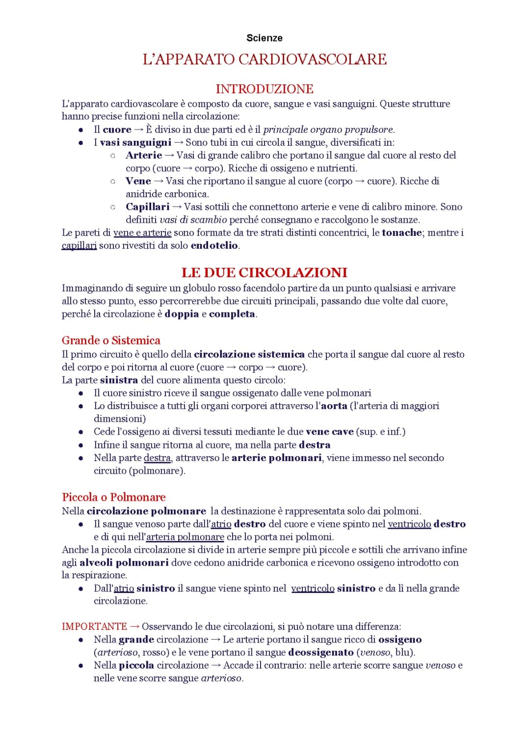 Apparato cardiocircolatorio