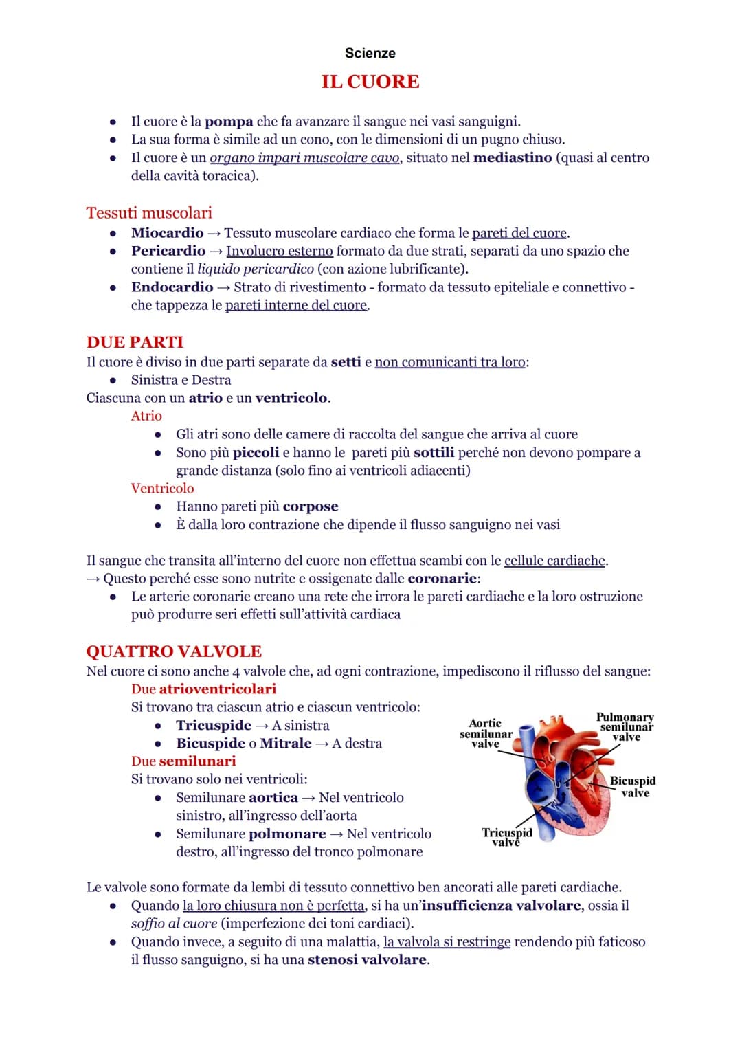 Scienze
INTRODUZIONE
L'apparato cardiovascolare è composto da cuore, sangue e vasi sanguigni. Queste strutture
hanno precise funzioni nella 