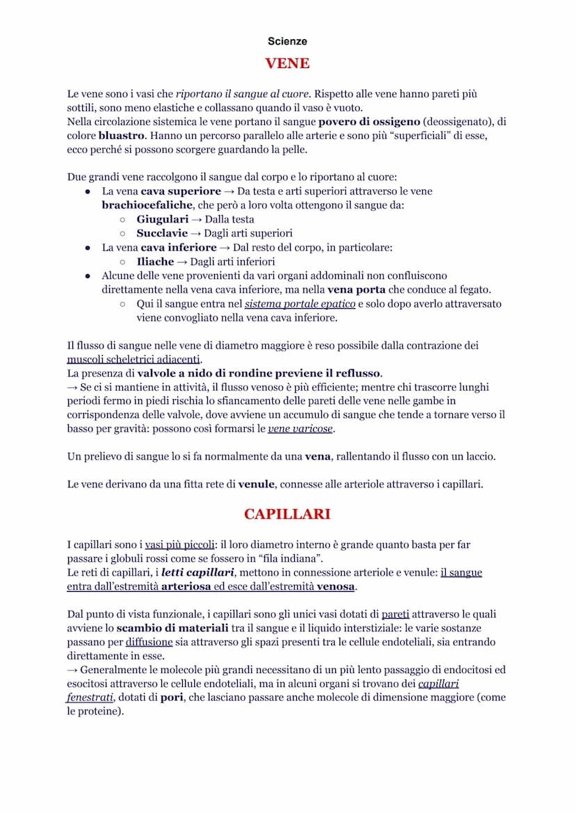 Scienze
INTRODUZIONE
L'apparato cardiovascolare è composto da cuore, sangue e vasi sanguigni. Queste strutture
hanno precise funzioni nella 