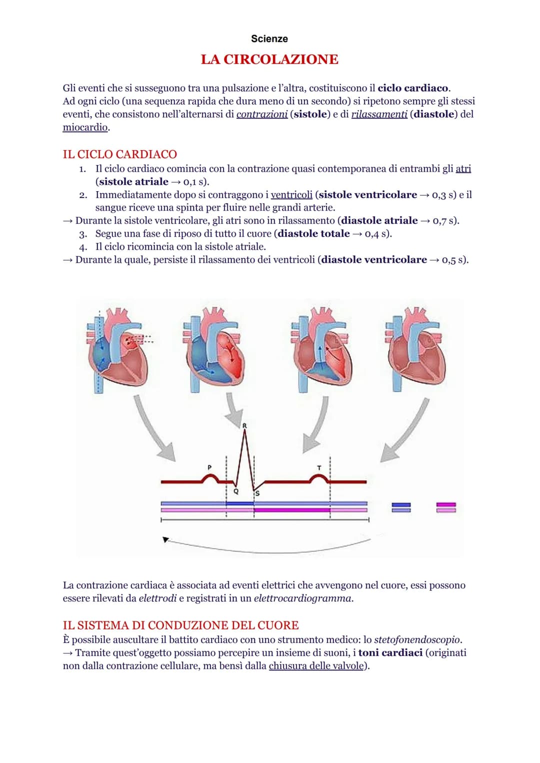 Scienze
INTRODUZIONE
L'apparato cardiovascolare è composto da cuore, sangue e vasi sanguigni. Queste strutture
hanno precise funzioni nella 
