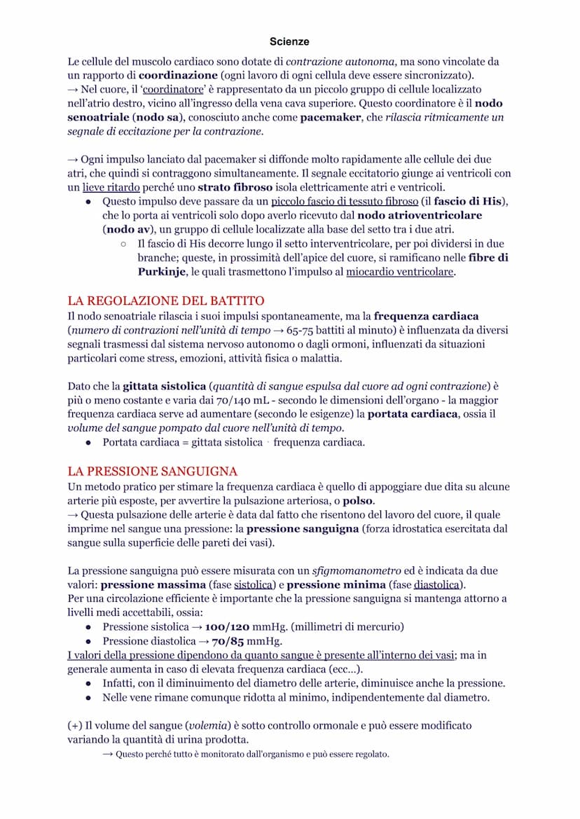 Scienze
INTRODUZIONE
L'apparato cardiovascolare è composto da cuore, sangue e vasi sanguigni. Queste strutture
hanno precise funzioni nella 