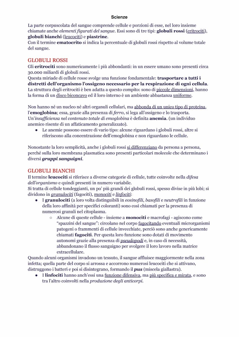 Scienze
INTRODUZIONE
L'apparato cardiovascolare è composto da cuore, sangue e vasi sanguigni. Queste strutture
hanno precise funzioni nella 