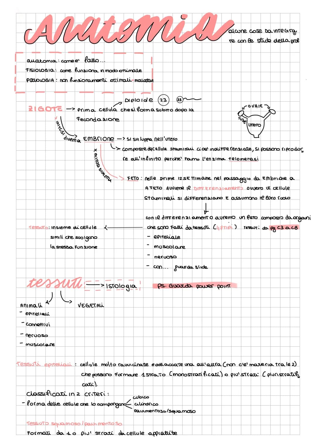 Alatemia
anatomia: come e' fatto...
FISIOLOGIQ: come funziona in modo ottimale
PattoLOGIA: non funzionamenti strimali malattie
Diploide (23
