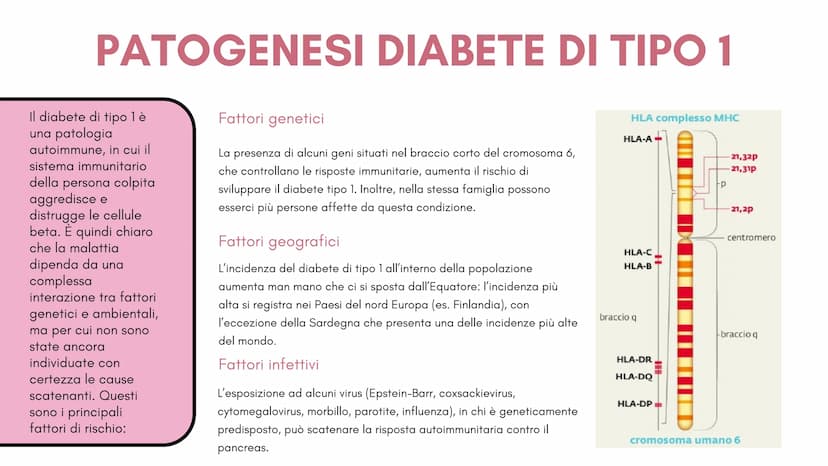  1
Definizione e
classificazione
del diabete
M
1
S Cos'è il
diabete?
Il diabete è una malattia cronica
dove a causa della carenza o del
malf