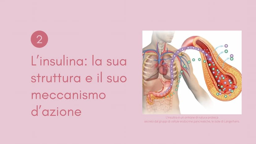  1
Definizione e
classificazione
del diabete
M
1
S Cos'è il
diabete?
Il diabete è una malattia cronica
dove a causa della carenza o del
malf